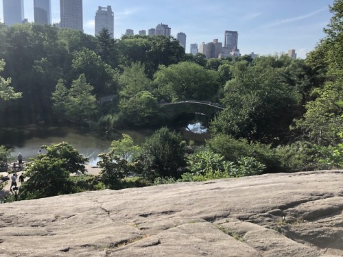 Y’all! I’m in NYC for two weeks so here’s a watercolor sketch from Central Park If you like this kin