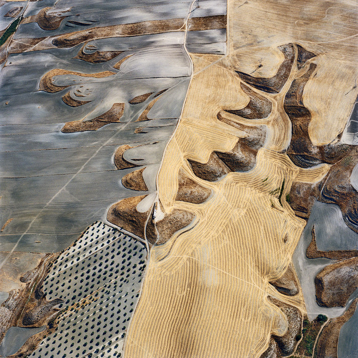 nevver:  Pattern recognition