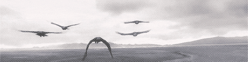 ainawen-nurlaer:  Fly 