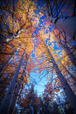 A-Very-Scottish-Autumn:  Landscapelifescape: Reno, Nevada, Usa  By Sellsworth 