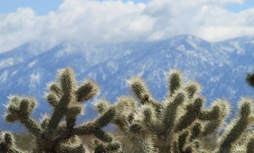 cloudystones:  Desert and snowy mountains this morning. 