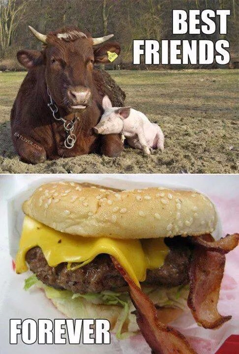 collegehumor:  It’s hard to meat good friends like that.  Acceptable.