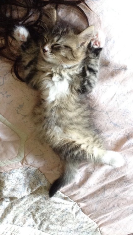 elienafisher:she sleeps