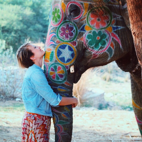 thai elephant pants