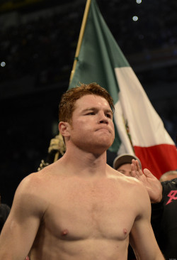 boxingsgreatest:                                               Saul “Canelo&ldquo; Alvarez