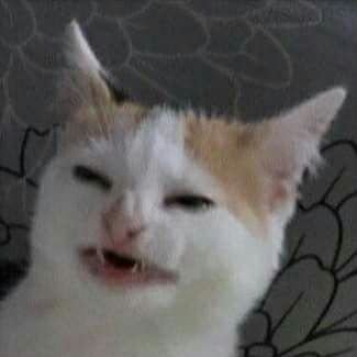 noxiatoxia:  robobeeach:  jelloapocalypse:  unadulteratedpiratepizza:  darkvioletcloud: