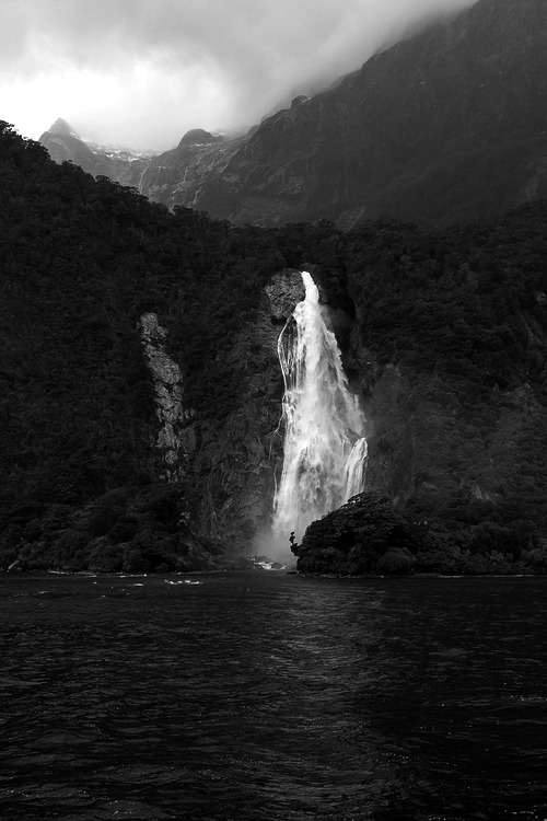 The nature
