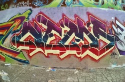 graffiti-oaxaca:  nems