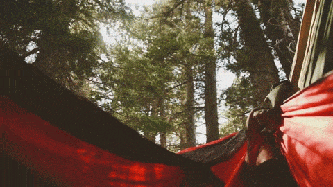 hikewhileyoucan:  0ct0-pussy:  onedayrobotswillcry:  Hammocking is one of my all