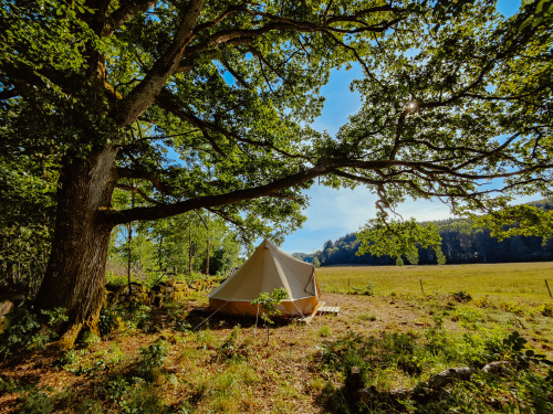 björkholmens glamping under the oak tree