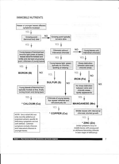 Plant Nutrient Deficiency Flowchartoriginally posted by /u/kettish with the request - personal use o