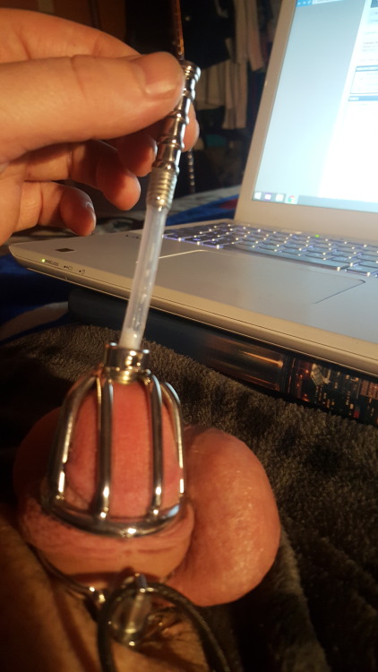 chastityliving: mycdlifeasjess: This is me in my metal chastity cage removing the urethral plug. Jus