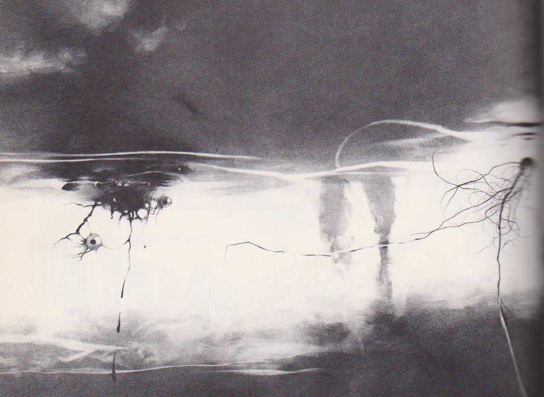 too-fast-for-mars:  welcometozeppland:  wolfmansgotnards:  Stephen Gammell is one