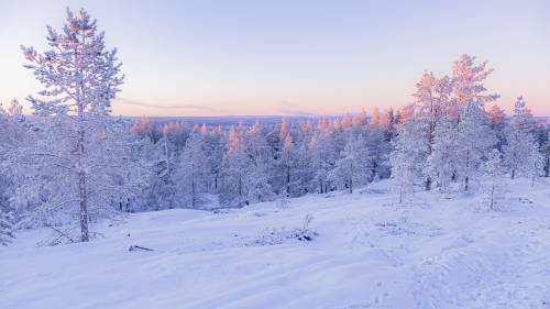 renamonkalou: Lapland | Jaasim Sarker