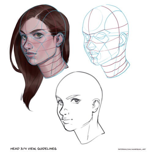 Tips for drawing and painting most common head angles. I would call it’s a “cheat sheet” when you ha
