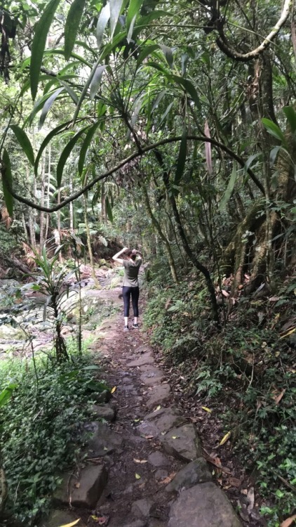 Leaving the house and breathing fresh air was incredibly therapeutic. We even found a waterfall on o