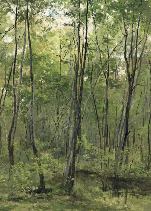 amare-habeo:César De Cock (Belgian, 1823 - 1904) River in the undergrowth (Rivièr