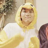 chaootic:  a wild duck appeared~ 🐥 