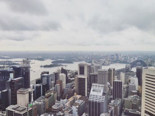 Grey morning in Sydney.