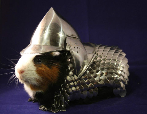 Fear not.  Your Knight in shining armor is here.