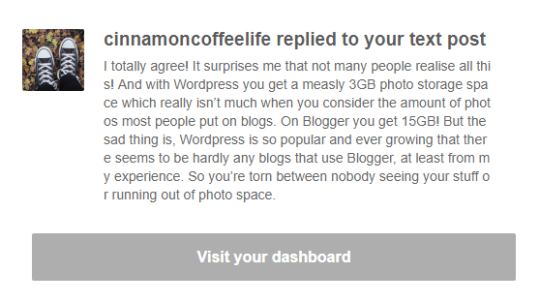 Answer to Reply on 4 Things I Wish I Knew Before Creating a Blog on WordPress