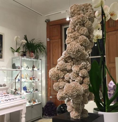 Desert Rose SculptureThis stunning piece is happily sitting on its bespoke stand at the Venusrox sho