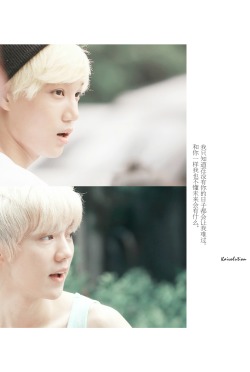 beardeerdear:  via: 撸鹿鹿 