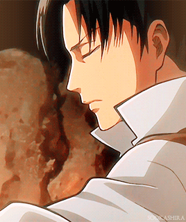 Levi Is A Sweetie _ 