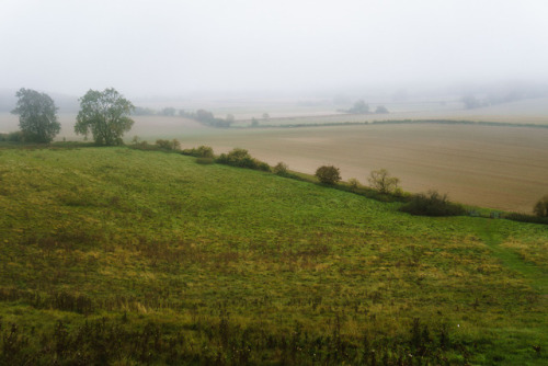 The hue of the white started to engulfed all objects, tangled limbs reaching out, hedges fading. The
