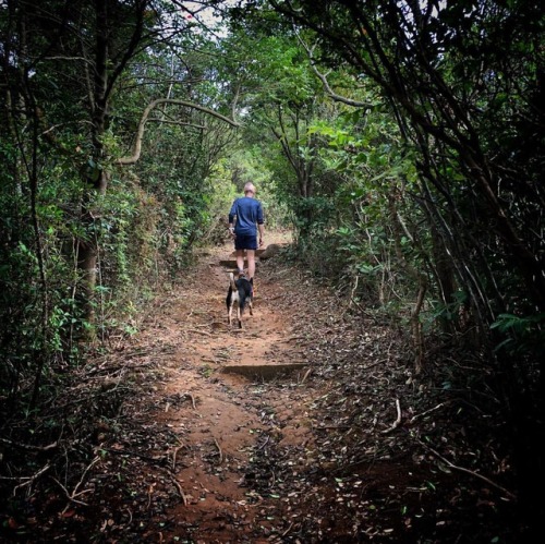 Back out on some of my favourite #Lantau #trails this morning- squeezing the most out of a wonderful