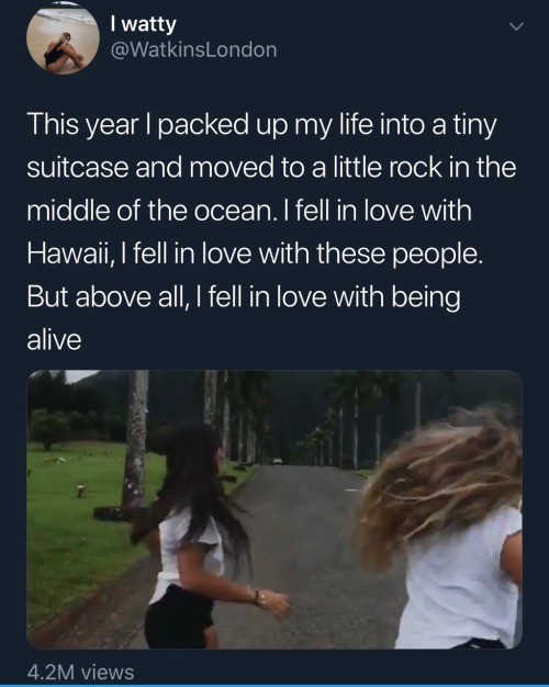 If You Guys Didnt See Some White Girl Posted A Montage Of Her Colonizer Experience In Hawai'i And Has