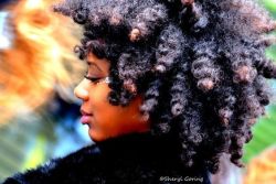 Curls Braids & Afros