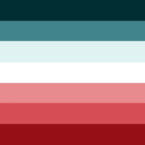 your-fave-has-ptsd: ptsdsafe:Traumatized/PTSD LGBT+ pride flags, based off of the PTSD flag by @yo