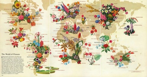 mapsontheweb: The World of Flowers, 1968. This map was published in 1968 by National Geographic. It 