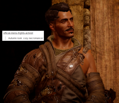 bubonickitten:  Dragon Age: Inquisition + text posts I can’t sleep, so I decided to do this instead. I’ll be doing more at some point I’m sure because I won’t be content until I run this meme right into the ground. More DA text post memes: Marian
