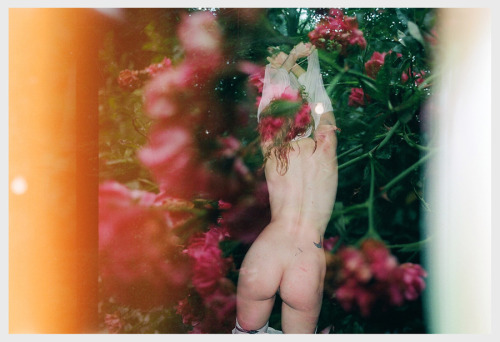 vaginabubbles:  We ask ourselves if what had been, was by Traci Lynn Matlock 