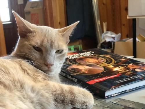 constantcaturday:Do you have the coin?