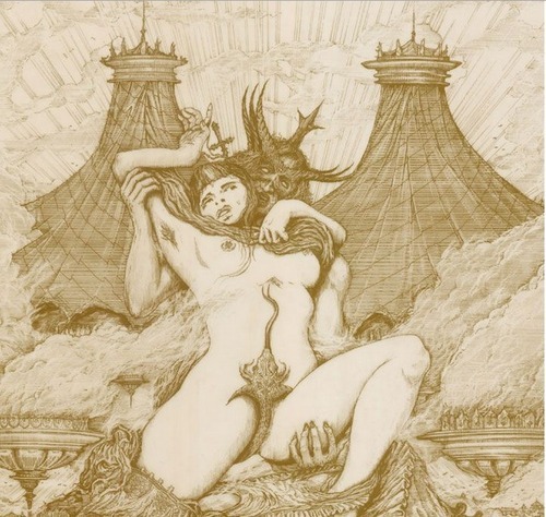 Amelia Storm