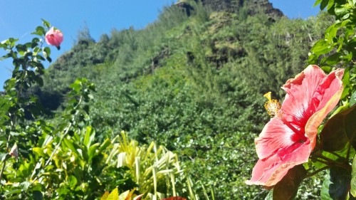 Easy Garden Trail After Intense Kayak Adventure.