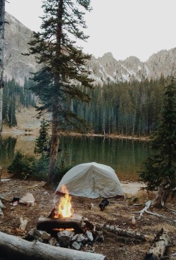 I need to go camping. I’m feeling so