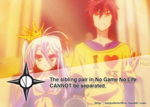 The sibling pair in No Game No Life CANNOT be separated.