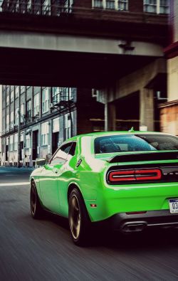 dreamer-garage:  Dodge Challenger SRT Hellcat 