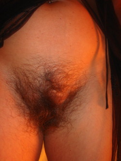 hairypictures:  Hairy Pictures 