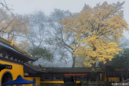 fuckyeahchinesegarden:藏海寺canghai temple, suzhou, jiangsu province by 枫红叶落999