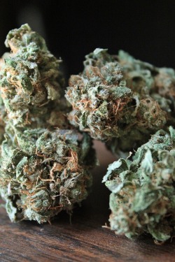 smokingweed:  Pineapple express (: