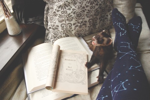the-book-ferret:  “She says nothing at all, but simply stares upward into the dark sky and wat