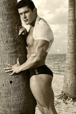 Adonis Files