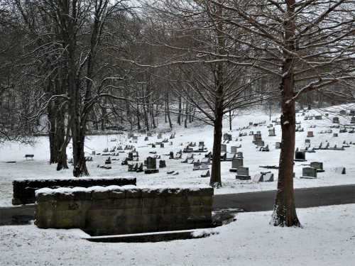 Allegheny Cemetery 1-31-21-6