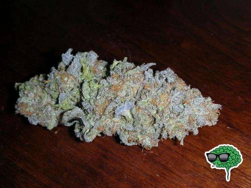 Everything Stoner Related