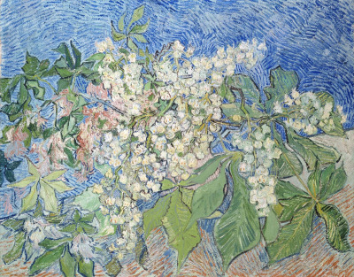 embriague-se-de-poesia:    Blossoming Chestnut Branches, Vincent Van Gogh   